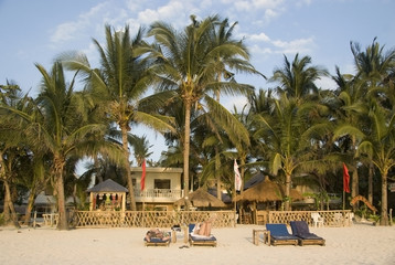 Palmenstrand, Boracay, Philippinen