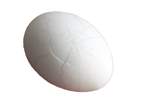 Egg on the white background