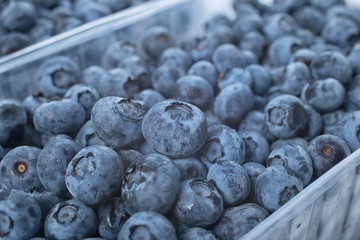 close up of blueberry in box containers at farmers market, close up, concept of healthy eating and nutrition