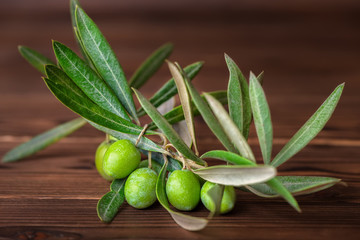 close up green branch of olive tree with berries on wooden background