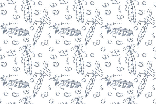 Seamless pattern Hand drawn sketch peas. Outline style peas. Green pods of sweet pea. Farm market product, Vector organic eco food. EPS10