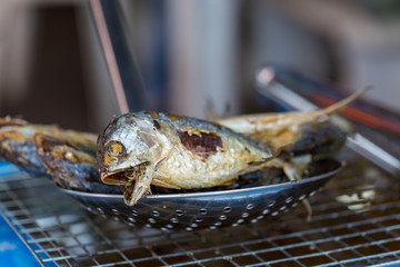 Fried mackerel fish put on the grill to drain oil.