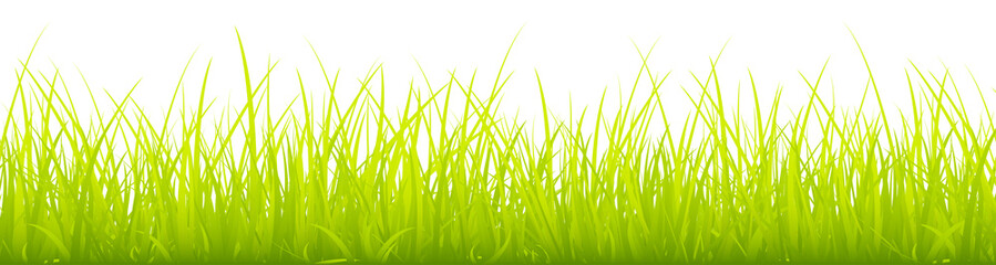 Big Meadow Banner Light Green