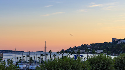 Fototapeta na wymiar Panoramic sunset of a coast city with a seagull flying over the small harbor of Golfe Juan, Côte d'azur
