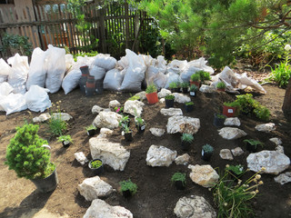 Ornamental shrubs and flowers arrangement on the alpine garden mountain before planting
