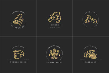 Vector set design golden templates logo and emblems - herbs and spices. Different spices icon for mulled wine. Logos in trendy linear style isolated on white background.