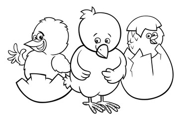 little chickens hatching from eggs color book