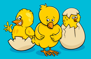 cartoon little chickens hatching from eggs