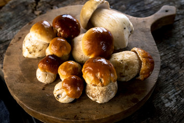 Raw porcini mushrooms