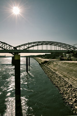 Along the Rhine 8
