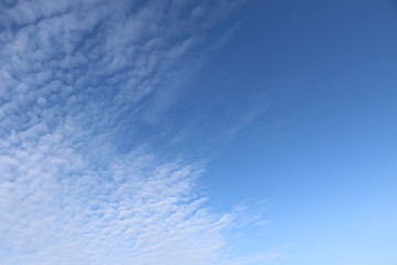 white cirrus clouds against blue sky. light, airy, white, cumulonimbus clouds in  bright blue sky on  frosty morning.
