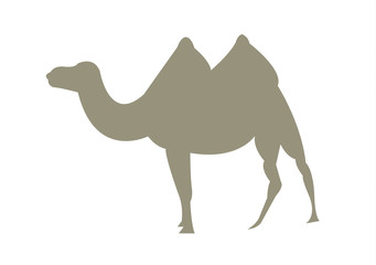 Camel silhouette illustration