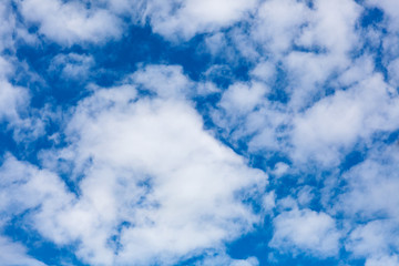 Cloudy with a chance of rain