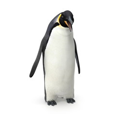 Emperor penguin. isolated on white. 3D illustration