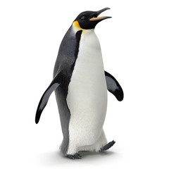 Emperor penguin. isolated on white. 3D illustration - 192030286