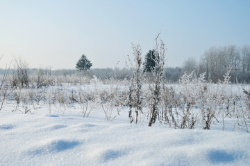 winter, snow, landscape, tree, cold, forest, nature, sky, frost