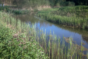 Neerpeelbeek