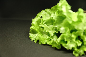 Fresh green salad isolated on black background