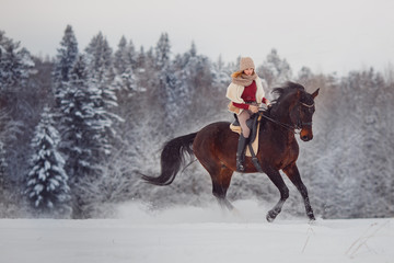 Fototapeta premium Close-up of horse with gallop rider is riding across field in winter forest. Equestrian sport.