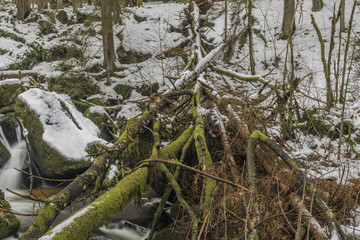 Mensi Vltavice river in snow winter day