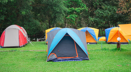 Camping and many tent in tropical forest.