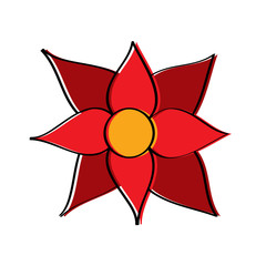 christmas flower poinsettia decoration traditional vector illustration