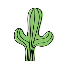 cactus desert plant decorative natural vector illustration