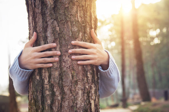 Closeup hands of woman hugging tree with sunlight