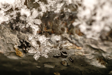 Macro photography of snowflake taken in paris during snowfall in Paris. A snowflake is a single ice crystal. looks like ice but very small and very light. it has many shape and used as snow symbols
