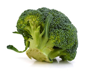 Broccoli isolated on white