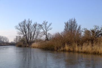 Creek with ice in Biesbosch National Park, Netherlands