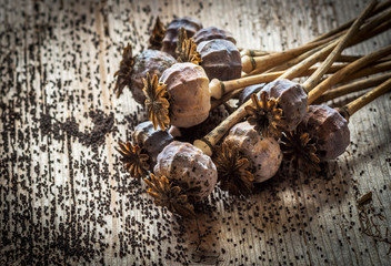 Dried poppy heads and seeds.