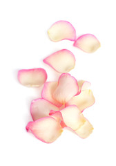 Rose petals isolated on a white background