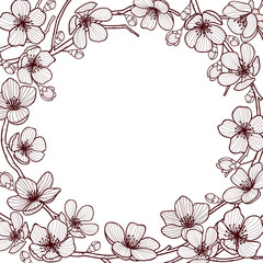 Vector frame with hand drawn graphic branches of a blossoming cherry tree sakura 