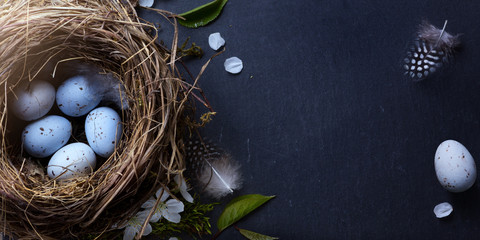 Happy Easter;  Easter eggs in nest and spring flower on table background