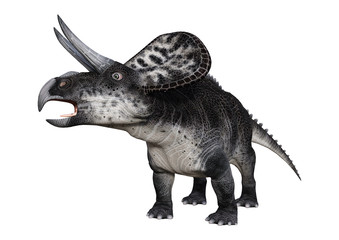 3D Rendering Dinosaur Zuniceratops on White
