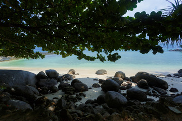 Sea. Tropical Paradise.