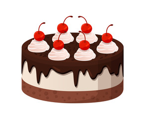 Tasty Cake with Dark Chocolate and Cherries on Top