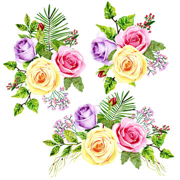 watercolor bouquets of roses on the white background