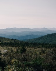 Processed with VSCO with j4 preset
