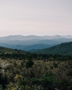 Processed with VSCO with j4 preset