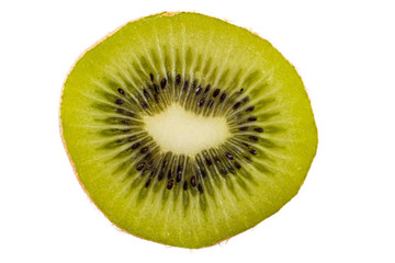 kiwi isolated on white background