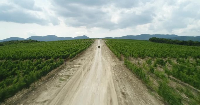 Rally, buggy, off-road. The mountains