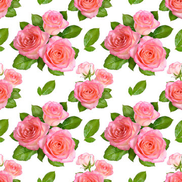 Seamless background with Pink roses. Isolated on white background