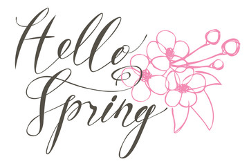 Black vector handwritten inscription Hello spring with pink flowers and buds