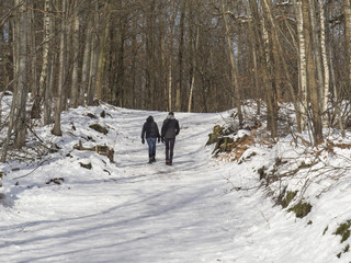 Couple se promenant dans une forêt enneigée