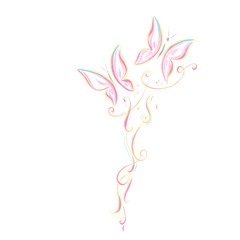 drawing of two sweet butterflies with ornament