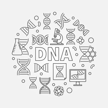 Vector DNA circular illustration or symbol
