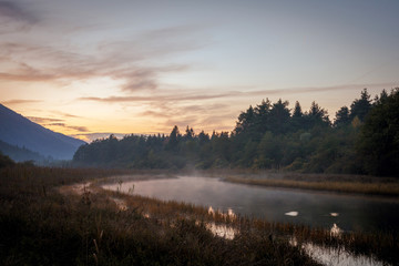 Foggy river in the morning