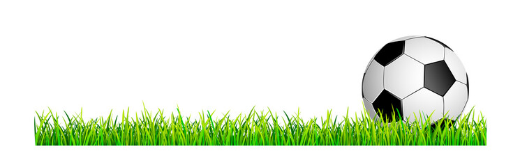 Soccer ball on a green grass lawn